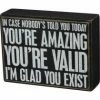 Primitives By Kathy In Case Nobody's Told You Today - You're Amazing - You're Vaild - I'm Glad You Exist Box Sign Box Signs