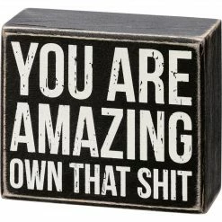 Primitives By Kathy Box Signs You Are Amazing Own That Box Sign