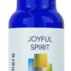 Wyndmere Naturals Joyful Spirit Synergistic Blend ~ 10ml (1/3 Oz) Aromatherapy Gifts