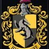 Ata Boy Hufflepuff House Emblem Harry Potter Magnet