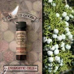 Coventry Creations Juniper ~ Wicked Good Energetic Oil (2 Dram; 7 Ml)