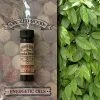 Coventry Creations Fragrance Oils & Diffusers Sandalwood ~ Wicked Good Energetic Oil (2 Dram; 7 Ml)