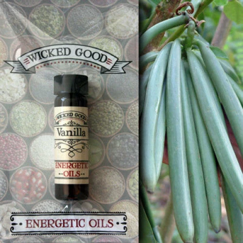 Top 10 ๐ Coventry Creations Vanilla ~ Wicked Good Energetic Oil (2 Dram; 7 Ml) ๐คฉ 3 Coventry Creations Vanilla ~ Wicked Good Energetic Oil (2 Dram; 7 Ml)