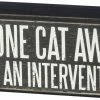 Primitives By Kathy Box Signs I'm One Cat Away From An Intervention Box Sign