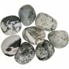 Kheops International Tree Agate Tumbled Stone