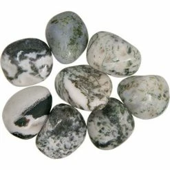 Kheops International Tree Agate Tumbled Stone