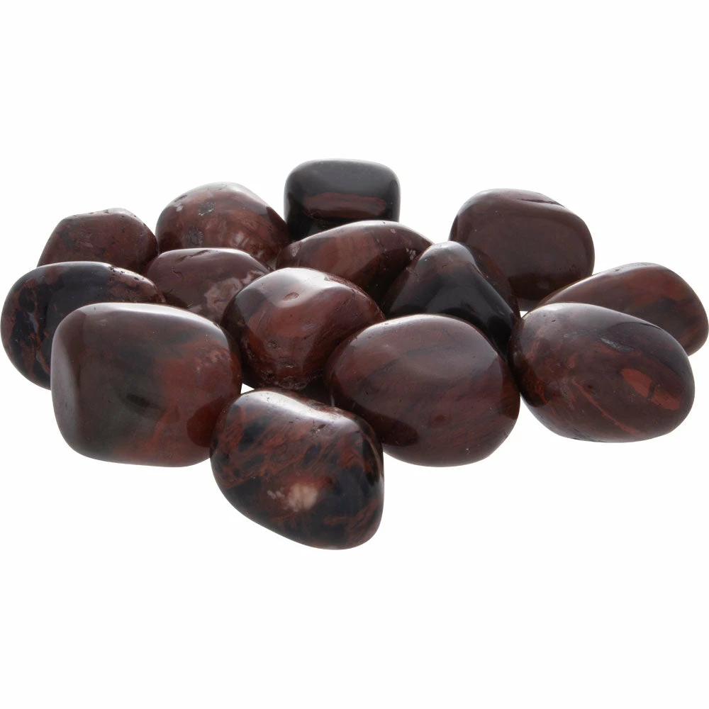 Budget 🛒 Kheops International Petrified Wood Tumbled Stone Crystals & Tumbled Stones 👍 3 Kheops International Petrified Wood Tumbled Stone Crystals & Tumbled Stones