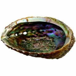 Kheops International Abalone Shell Smudging Tools & Accessories