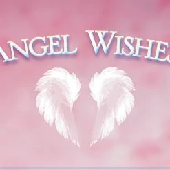 US Games Systems Angel Wishes Cards Metaphysical & Divination Gifts