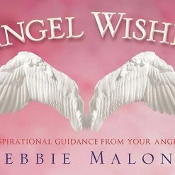 US Games Systems Angel Wishes Cards Metaphysical & Divination Gifts