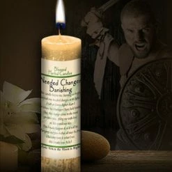 Coventry Creations Candles & Accessories Needed Change/Banishing ~ Blessed Herbal Candle