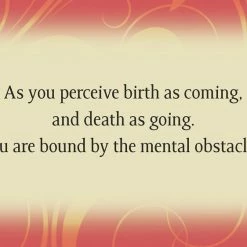Best deal 🌟 US Games Systems Buddha Wisdom Divine Feminine Cards Metaphysical & Divination Gifts ⭐ 10 US Games Systems Buddha Wisdom Divine Feminine Cards Metaphysical & Divination Gifts