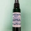 Paine's Incense Balsam Fir & Cabin Gifts Blueberry Home & Car Mist Fragrance Spray