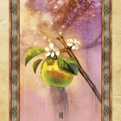 US Games Systems Celtic Tree Oracle Cards Metaphysical & Divination Gifts