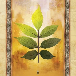 US Games Systems Celtic Tree Oracle Cards Metaphysical & Divination Gifts