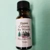 Paine's Incense Cabin In The Woods Fragrance Oil Balsam Fir & Cabin Gifts