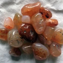 Kheops International Crystals & Tumbled Stones Carnelian Tumbled Stone