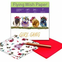GIRL GANG Mini Flying Wish Paper Kit