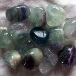 Kheops International Crystals & Tumbled Stones Fluorite Tumbled Stone