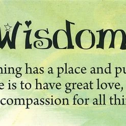 US Games Systems Metaphysical & Divination Gifts Healing Angel Cards