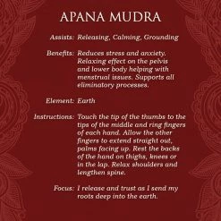 US Games Systems Metaphysical & Divination Gifts MUDRAS For Awakening The Five Elements Card Deck