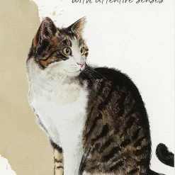 US Games Systems Metaphysical & Divination Gifts Power Animals ~ Spirit Guides For Your Spiritual Life Cards