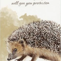 US Games Systems Metaphysical & Divination Gifts Power Animals ~ Spirit Guides For Your Spiritual Life Cards