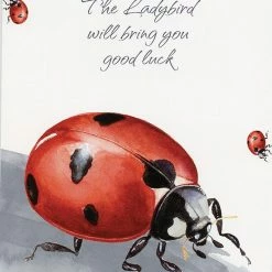 US Games Systems Metaphysical & Divination Gifts Power Animals ~ Spirit Guides For Your Spiritual Life Cards