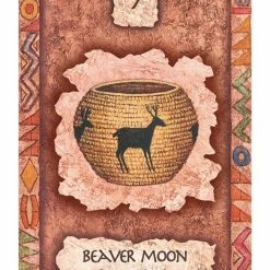 US Games Systems Shaman Wisdom Cards Deck