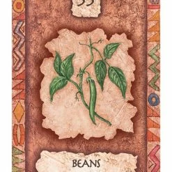 US Games Systems Shaman Wisdom Cards Deck