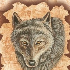 US Games Systems Shaman Wisdom Cards Deck