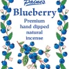 Paine's Incense 20 Blueberry Scented Long Stick Incense Incense & Accessories