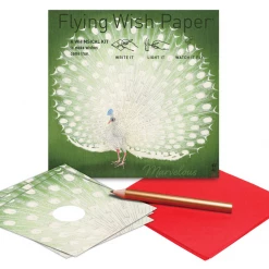PEACOCK Mini Flying Wish Paper Kit