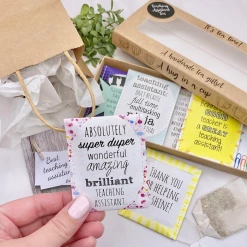 Faire Teaching Assistant Tea Giftset - Mixed Tea Flavours New Arrivals!