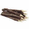 World Buyers Branch Graphite Pencil Bundle (12pcs)