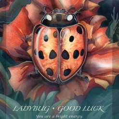 New Leaf Distributing Spirit Of The Animals Oracle Cards & Guidebook Metaphysical & Divination Gifts