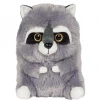 RI Novelty Toys & Novelties Mischevious Raccoon Plush