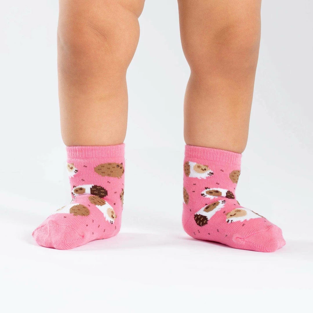 New 😀 Sock It To Me Guinea Piggin' Around Toddler Crew 🧦 Socks 🧦 Socks! 🧦 Socks! 🧦 Socks! ⭐ 3 Sock It To Me Guinea Piggin' Around Toddler Crew Socks Socks! Socks! Socks!