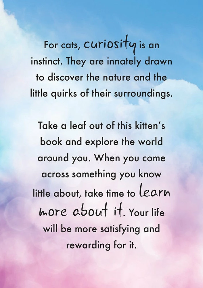 Best Pirce ✔️ US Games Systems Cat Wisdom Cards ⌛ 6 US Games Systems Cat Wisdom Cards