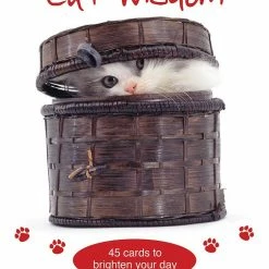 US Games Systems Cat Wisdom Cards
