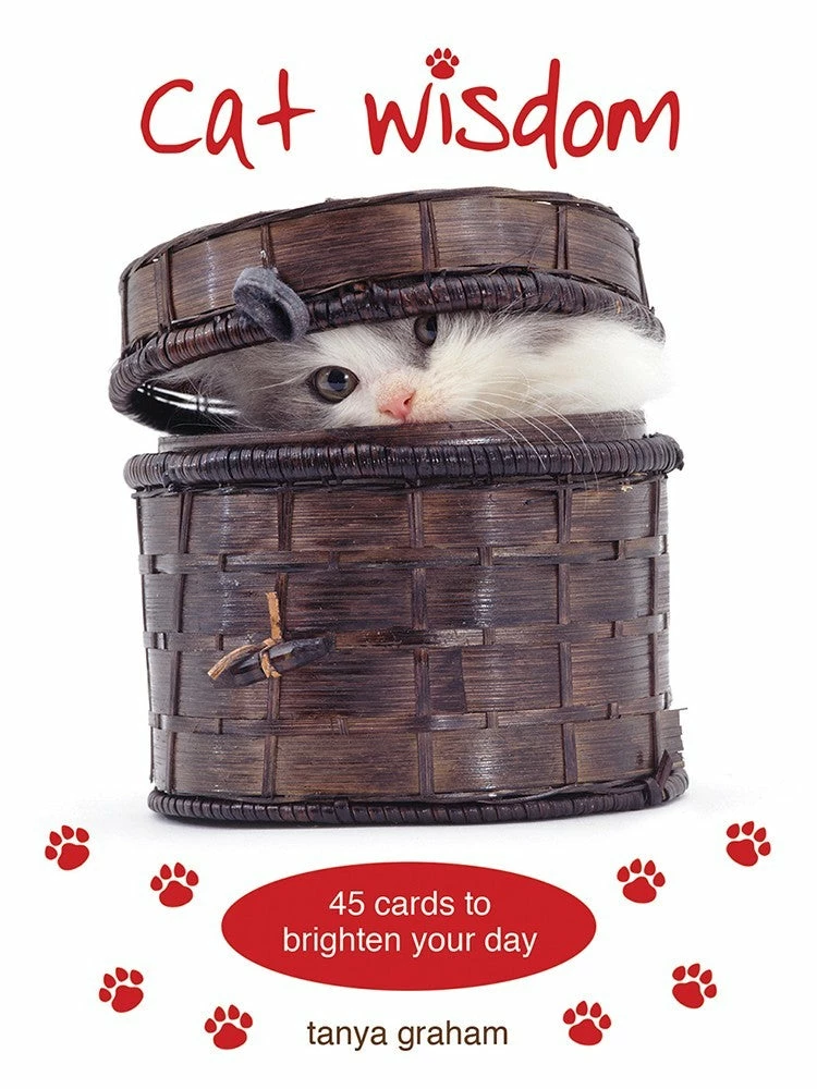 Best Pirce ✔️ US Games Systems Cat Wisdom Cards ⌛ 3 US Games Systems Cat Wisdom Cards