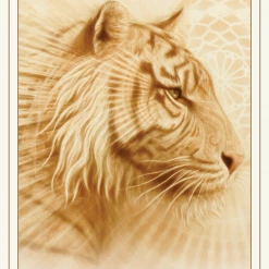 Cheapest π US Games Systems White Light Oracle Card Deck π― 15 US Games Systems White Light Oracle Card Deck