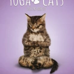 US Games Systems Metaphysical & Divination Gifts Yoga Cats Deck & Book Set