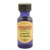 Fragrance Oils & Diffusers Champa Flower Oil ~ Premium Fragrance Oil From Wild Berry (0.5 Oz)