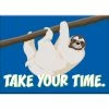 NMR Sloths Take Your Time Sloth Flat Magnet