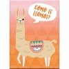 NMR Como Te Llama Flat Magnet Llamas